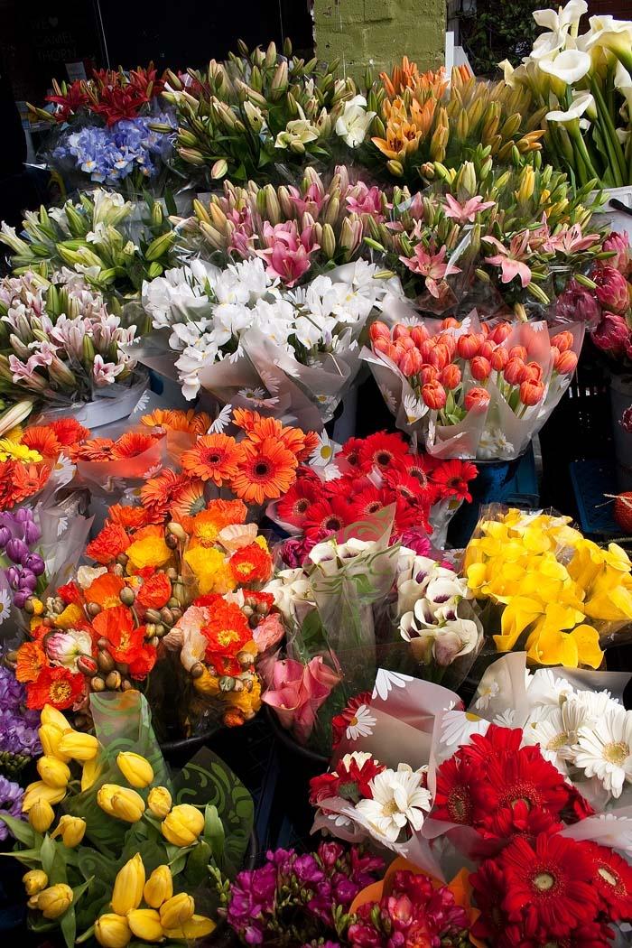 Corporate meeting room with carefully timed floral arrangements that maintain elegance throughout business hours